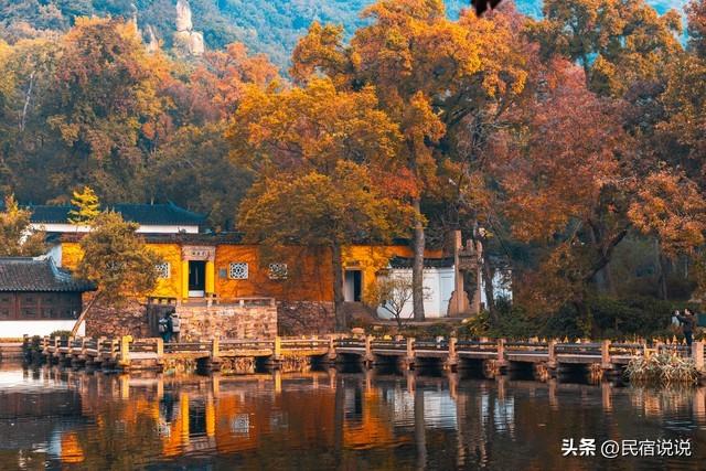 苏州居然还藏着一个“中国四大枫叶胜地”！