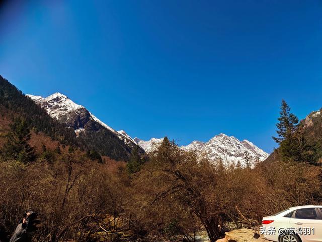 理小路环线今日风景！