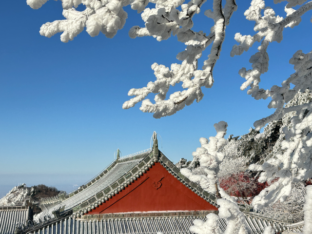 雪后泰山恢复开放 琉璃仙境引客来