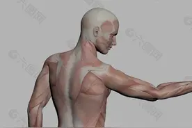 乙肝病毒已经低于检测下限多年，为什么转氨酶会明显升高？图片