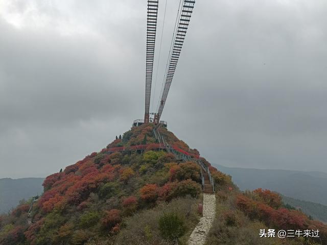 无为在歧路，柿岩之红叶