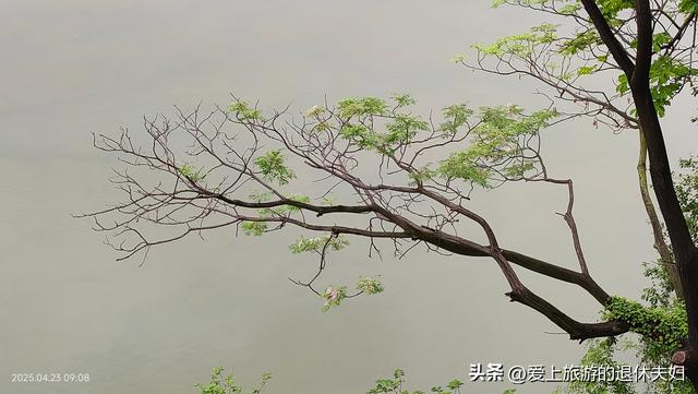 出游第6站-衡阳：东洲岛、石鼓书院、保卫里。阴雨天，游了个寂寞