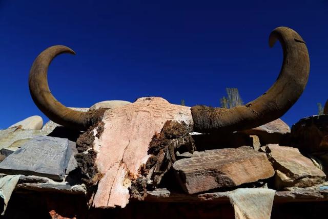 西藏有好几个“年”，冬天来西藏过年太值了！