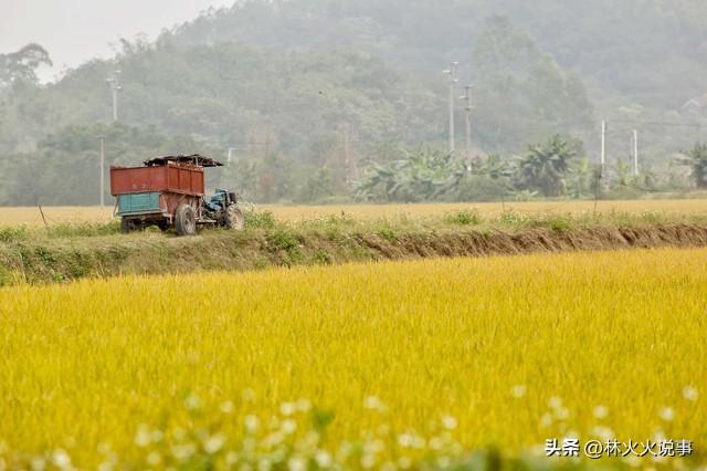 “最怕中秋一日雨”，明日中秋，下雨有啥好怕的？预示冬天很冷吗