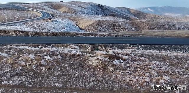 雪花纷飞山林里，小狐狸雪地蹦跳撒欢，天真烂漫模样心里暖洋洋