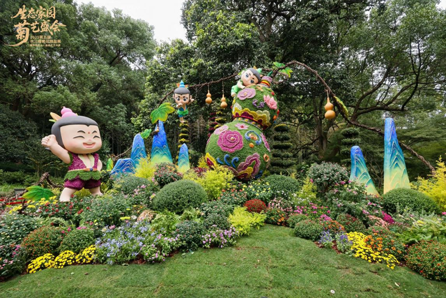 全城打卡！杭州植物园菊花展变身童话乐园，葫芦娃、机器狗邀你秋日遛娃