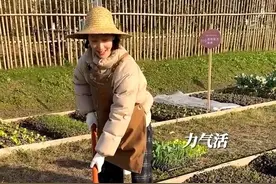 主持人王冠晒婚后生活，自己包地种菜好接地气，笑容甜美一脸幸福图片