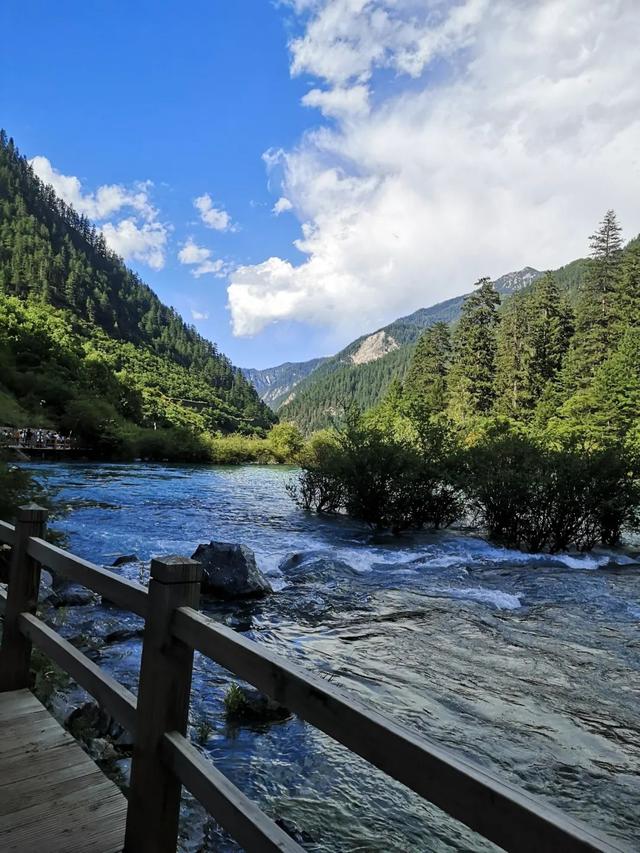 鱼跃天际、鸟翔水底，九寨沟邀你共赏夏日奇景~