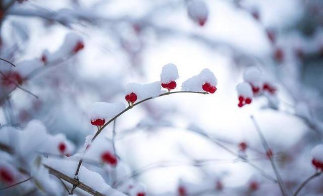 21号冬至不一般，提醒：1不走、2不早、3不开、4要腌、5要吃