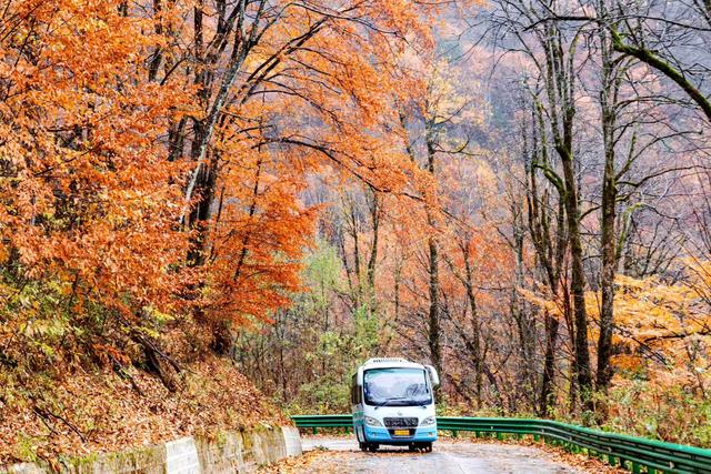 雾锁龙头山，秋染万重山