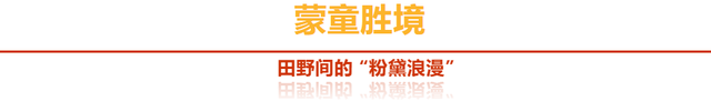「沂蒙」叠翠映红黄——跟着色彩游临沂