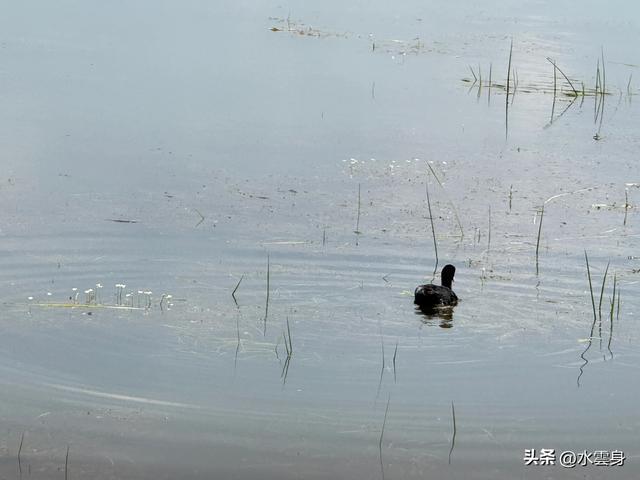 向北而行：北京自驾沽源、多伦、太仆寺旗草原牧歌（3）沽源多伦