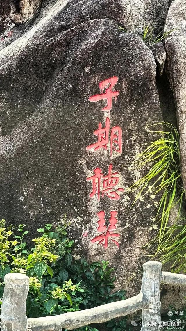 探秘浙南“小黄山”的绝美风光!夏日就去这个天然小众徒步氧吧!
