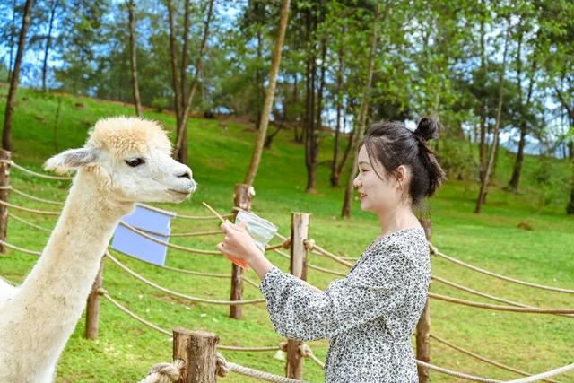 五一腾冲文旅活动汇总｜赴春日之约，享专属快乐