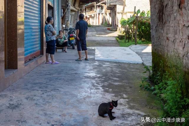 三溪场记