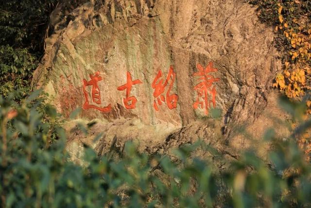 进化藏了个神仙徒步地，出片率极高！