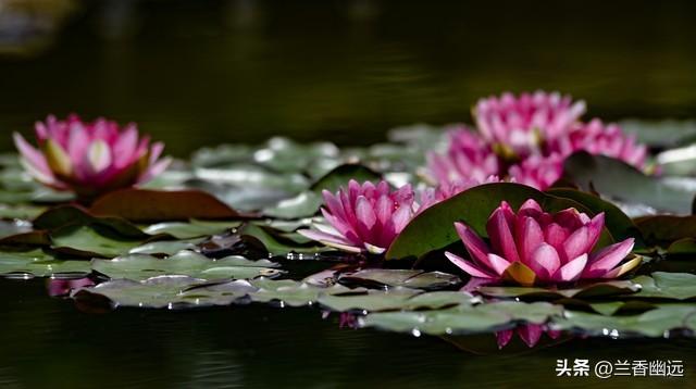 两性关系：为什么65岁后，女人比男人更希望这些，你真的懂吗