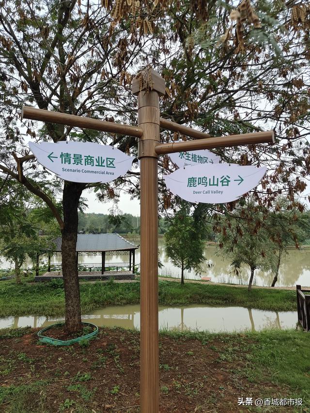 微度假自然秘境，迎接四面八方游客——咸宁向阳湖国家湿地公园即将焕新开园