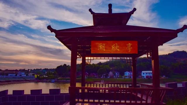 你不知道的九棵松——藏在蕲春的生态秘境