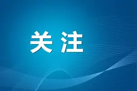 魏县有个甘蔗种植园图片