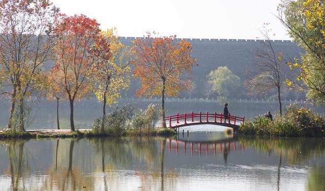 又到了秋天，第一座旅游城市，肯定选择六朝古都——南京！