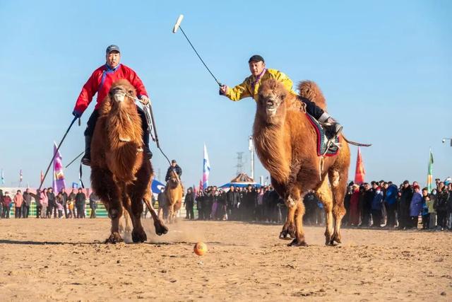 图游天下 发现中国｜冬日内蒙古 体验冰雪游