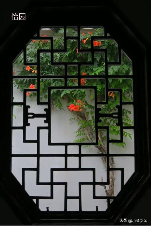 谁说夏天没花看？苏州园林偷偷美翻了！