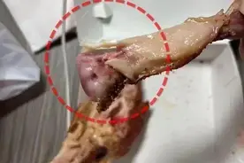 热搜第一！知名品牌又被曝吃出生肉，网友：忍你很久了图片