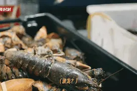 揭秘上海波龙热销背后的故事：一天8000只，消费者为何如此热衷？图片