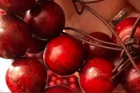 生命危险爆料小叶紫檀造假内幕！触目惊心图片