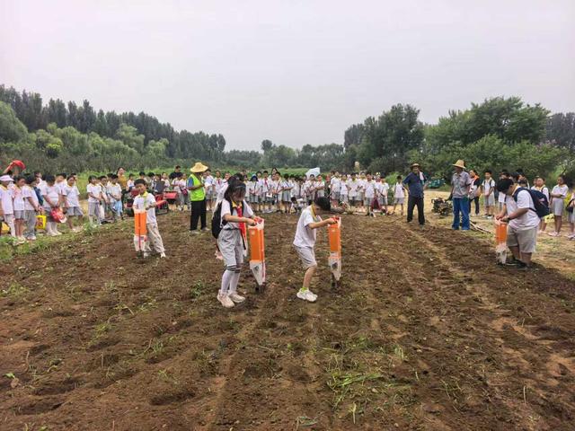 第45个“世界粮食日”到来，平谷小学生化身科技小院“农技员”