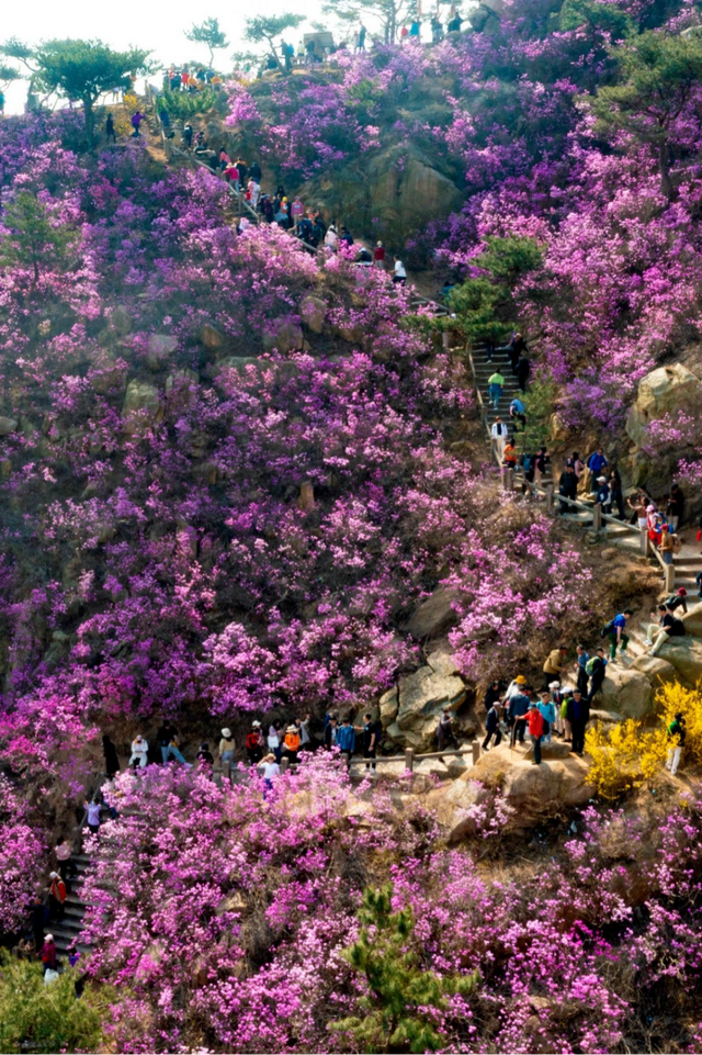 董宇辉向世界推荐，“请花几天时间去山东”！