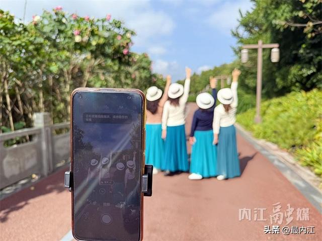 芙蓉映秋景！内江300米“鲜花大道”走红