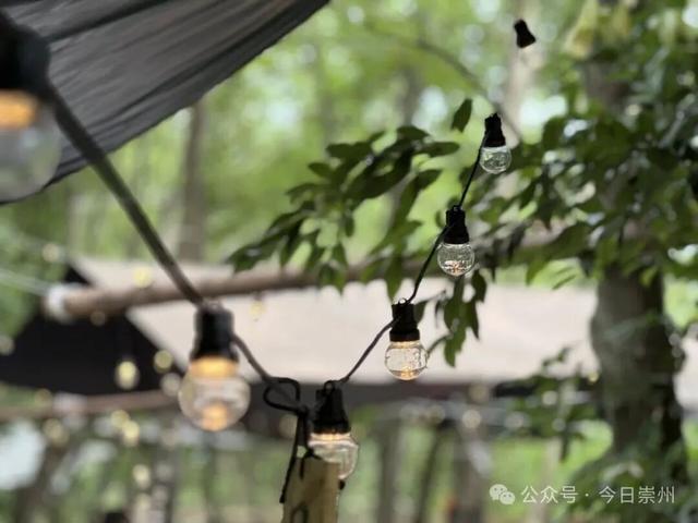 枕溪水、伴林风，崇州这个营地好玩又出片