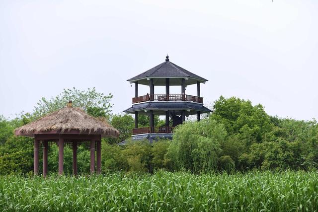 杭州出发1h，被严重低估的宝藏小城，人少景美，周末说走就走！