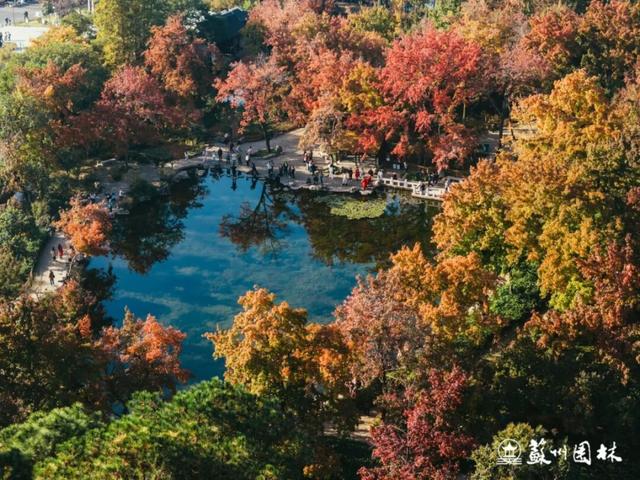 大流量预警！别开车去
