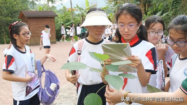 北流容心谷“探索自然之美，传诵诗韵风雅”主题研学活动广受好评