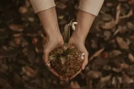 王阳明的终极憾叹：此心光明，亦复何言！图片