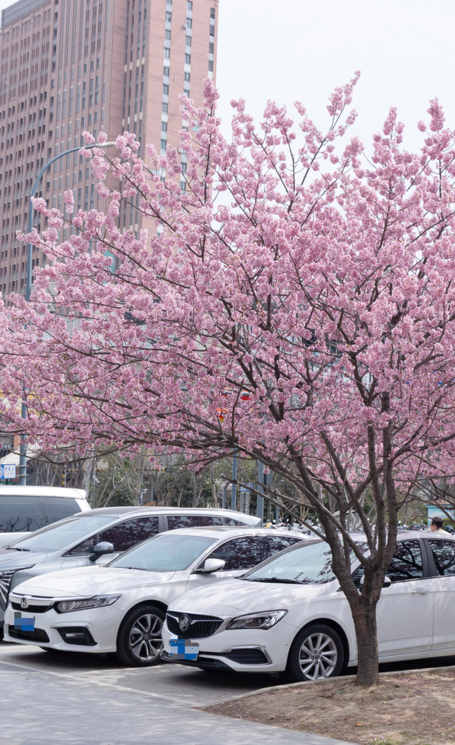 太火爆！无锡这个地铁口