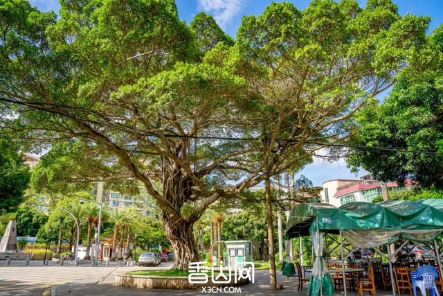 在珠海，有一种浪漫叫“鸡山”