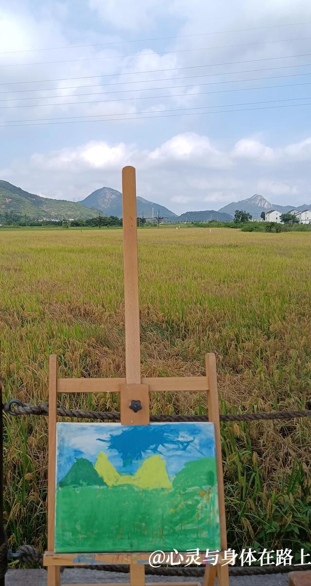 宁波东出发，一天玩转三门七个小众景点，随手一拍就是桌面壁纸。