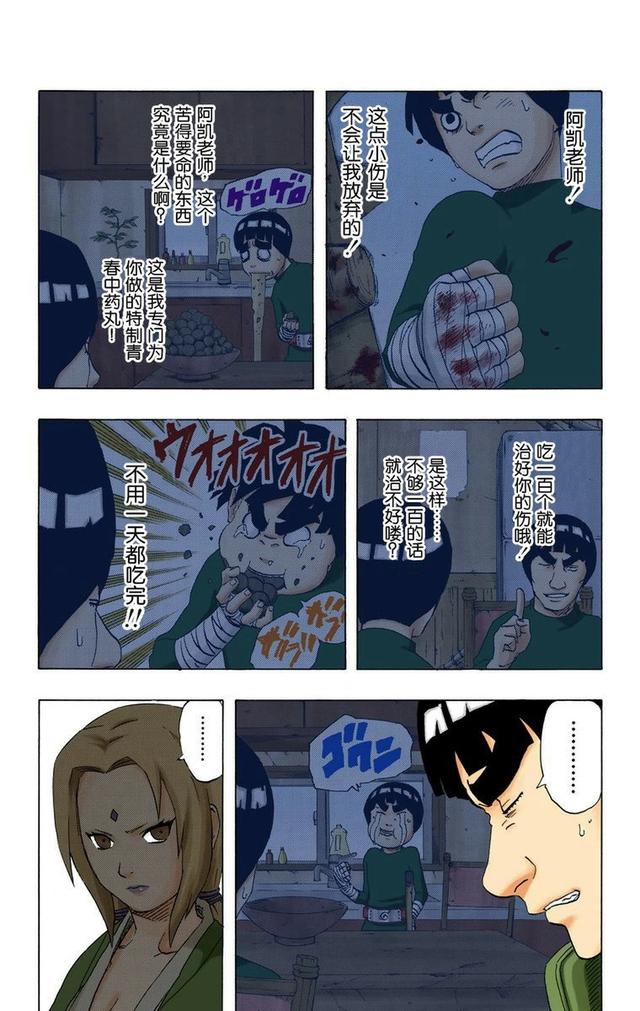 火影忍者彩漫 第二十卷 第五代火影纲手，鸣人佐助天台对决