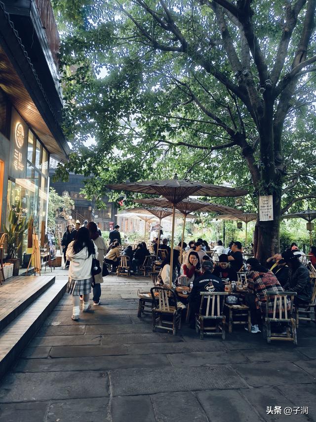 2025乙巳年11月19日 晴 气温6-13度