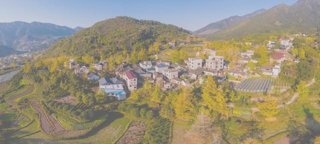 广西秋熟透了！红枫燃林、银杏铺古村，3条路线承包全国颜值巅峰