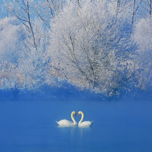 天山河谷·美哉伊犁丨8折优惠邀您住进雪原里的春天！