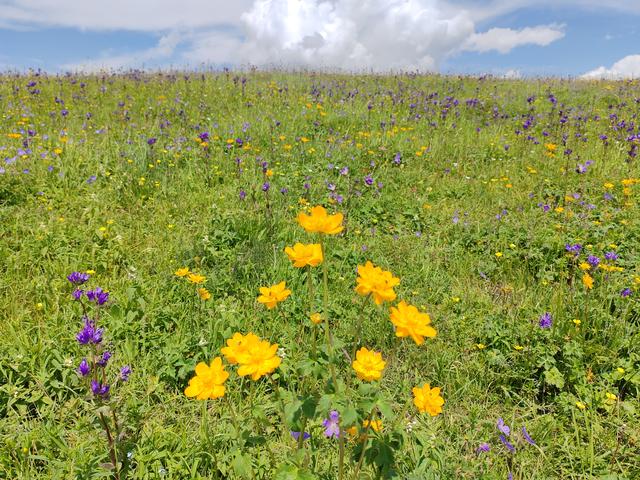 北疆行⑨——穿越喀拉峻草原