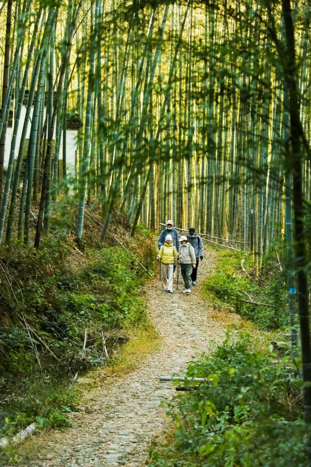 进化藏了个神仙徒步地，出片率极高！