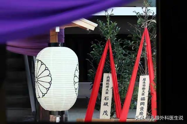 日本警告周边邻国，谁参加九三大阅兵，谁就是在搞“反日活动”？