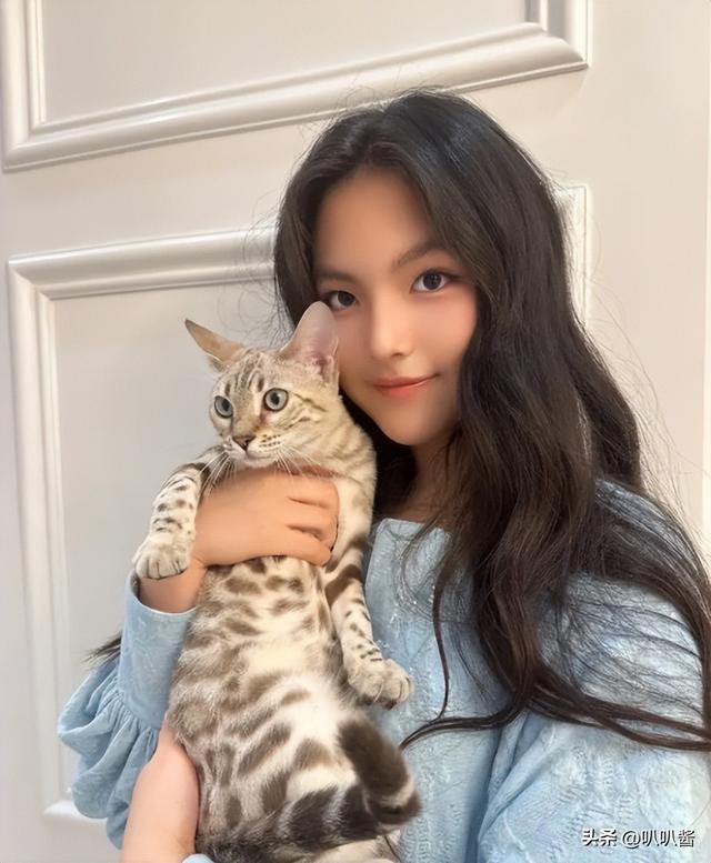 李湘参与缅北诈骗？王诗龄休学？王岳伦崩溃回应，结果大快人心