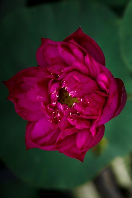 两性关系：牢牢记住这五个真相，哪怕熬过再难的日子也能相守到老